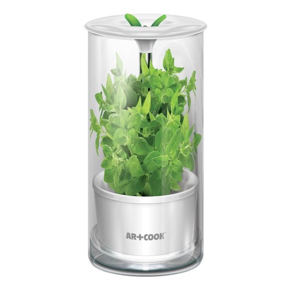 Art & Cook  Fresh Herb Keeper Storage Container - NIB - Picture 1 of 10